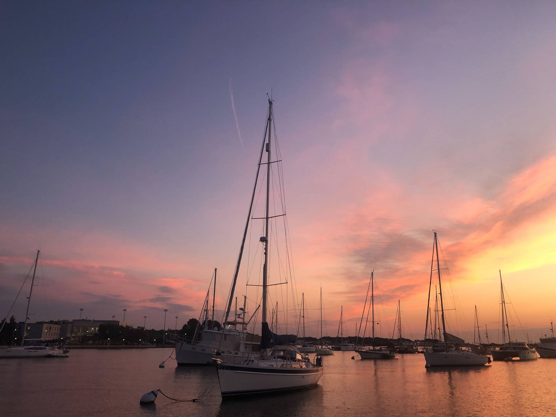 annapolis harbor at sunrise