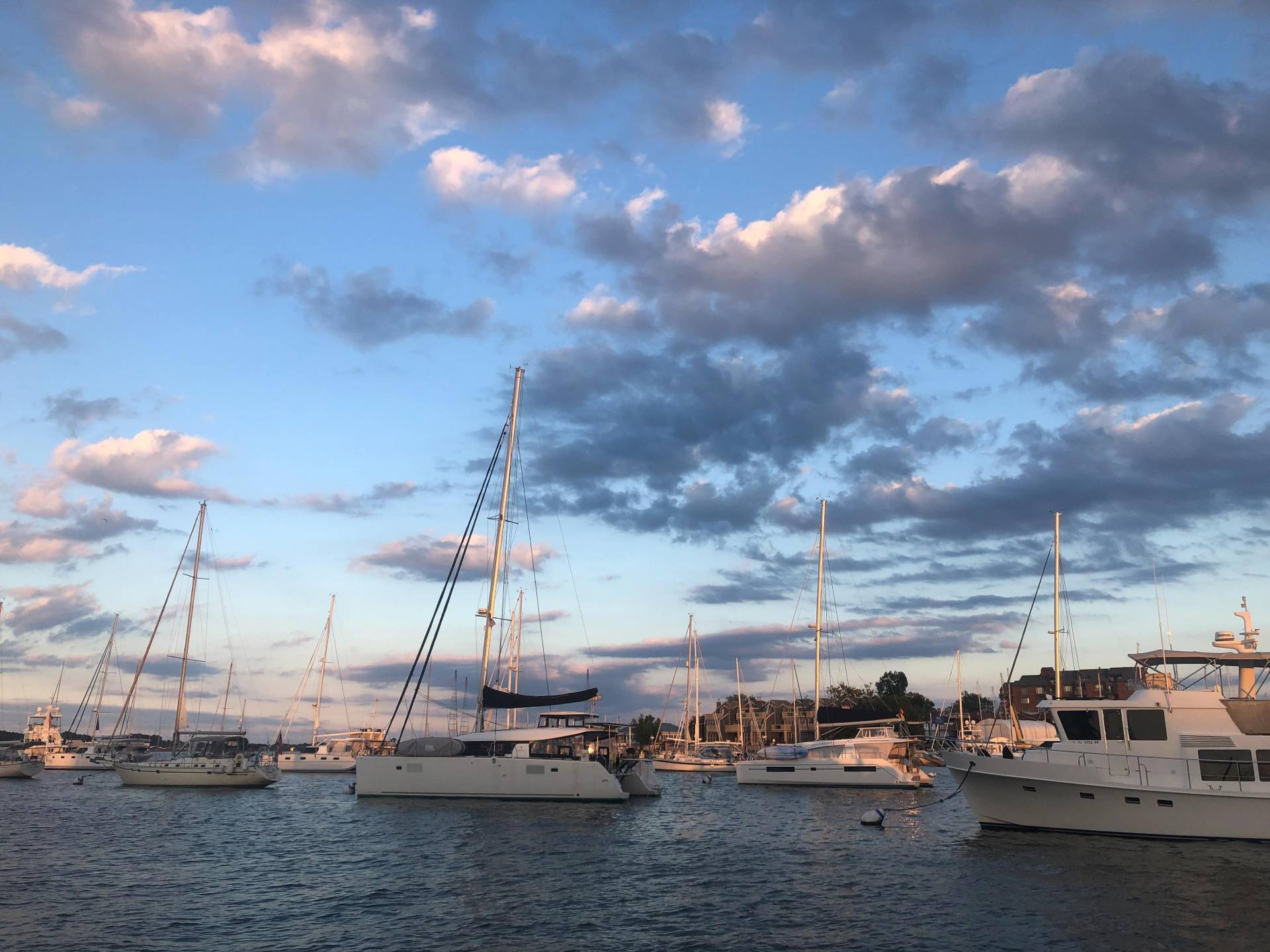 annapolis harbor at sunset