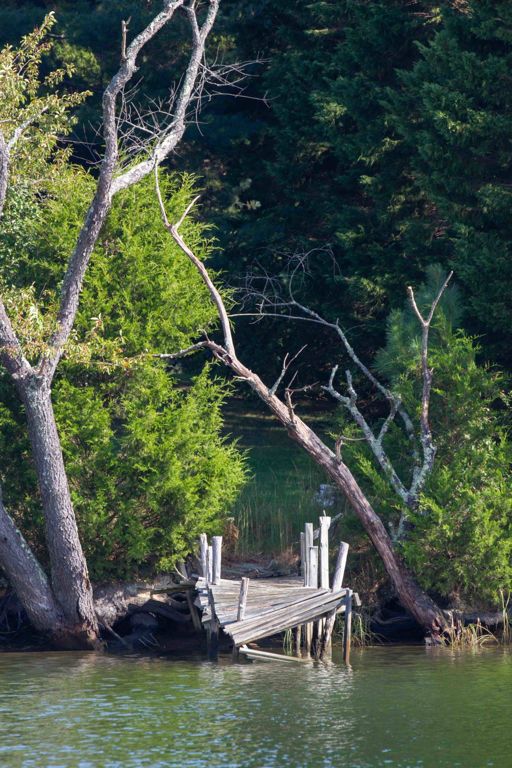 abandoned dock